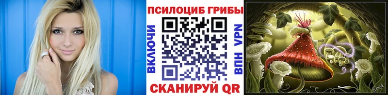 OMG зеркало Южно-Сухокумск даркнет наркотические препараты Галлюциногенные грибы Psilocybine cubensis